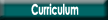 Curriculum