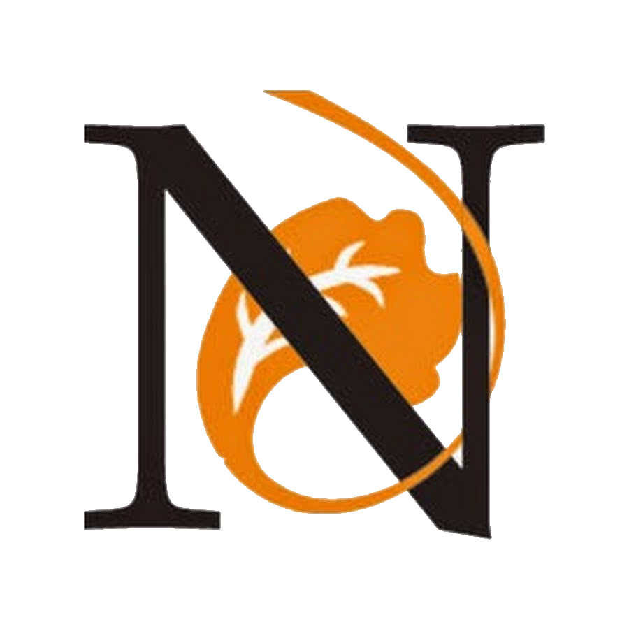 Novelist